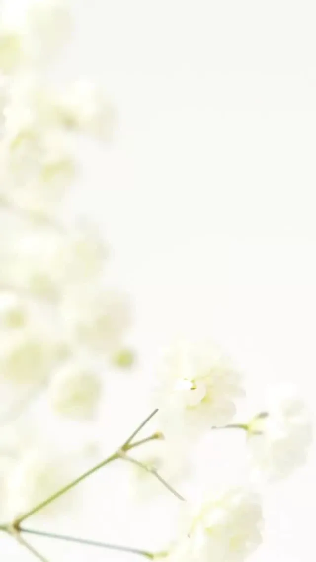 La mipass ーラ・ミパスー